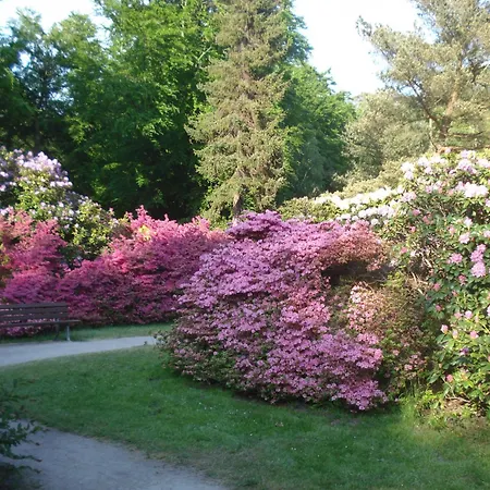 Ferienobjekt Mueritz A5 Διαμέρισμα Graal-Mueritz